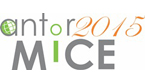 Участники индустрии делового туризма по традиции начнут профессиональный год  с ANTOR MICE Workshop