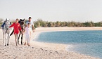 Остров Сир Бани Яс получил премию World Travel Awards 2014 как ведущее направление эко-туризма
